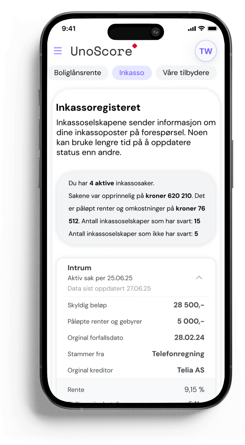 Inkasso oversikt